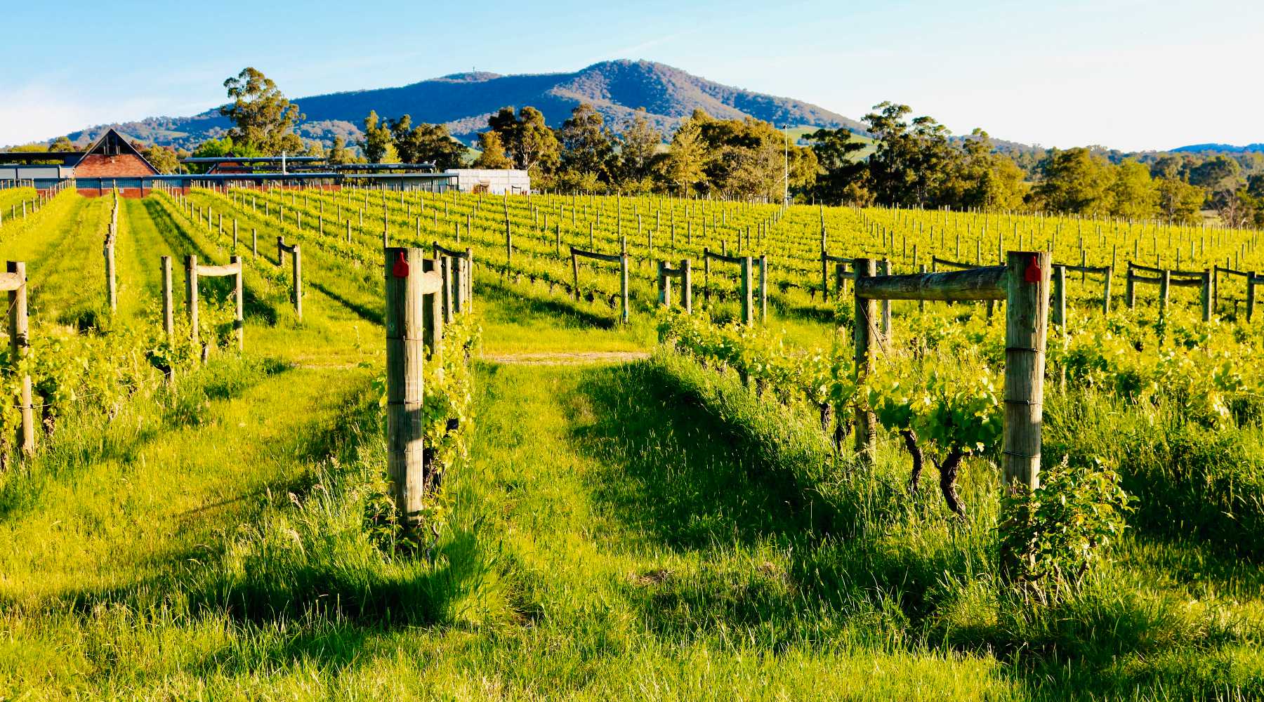 Bannockburn Winery | Victoria, Australia