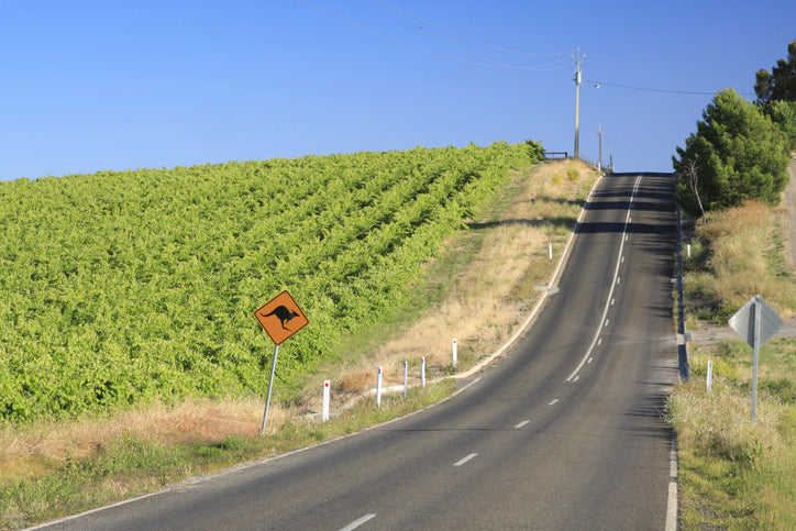 Best Shiraz From McLaren Vale